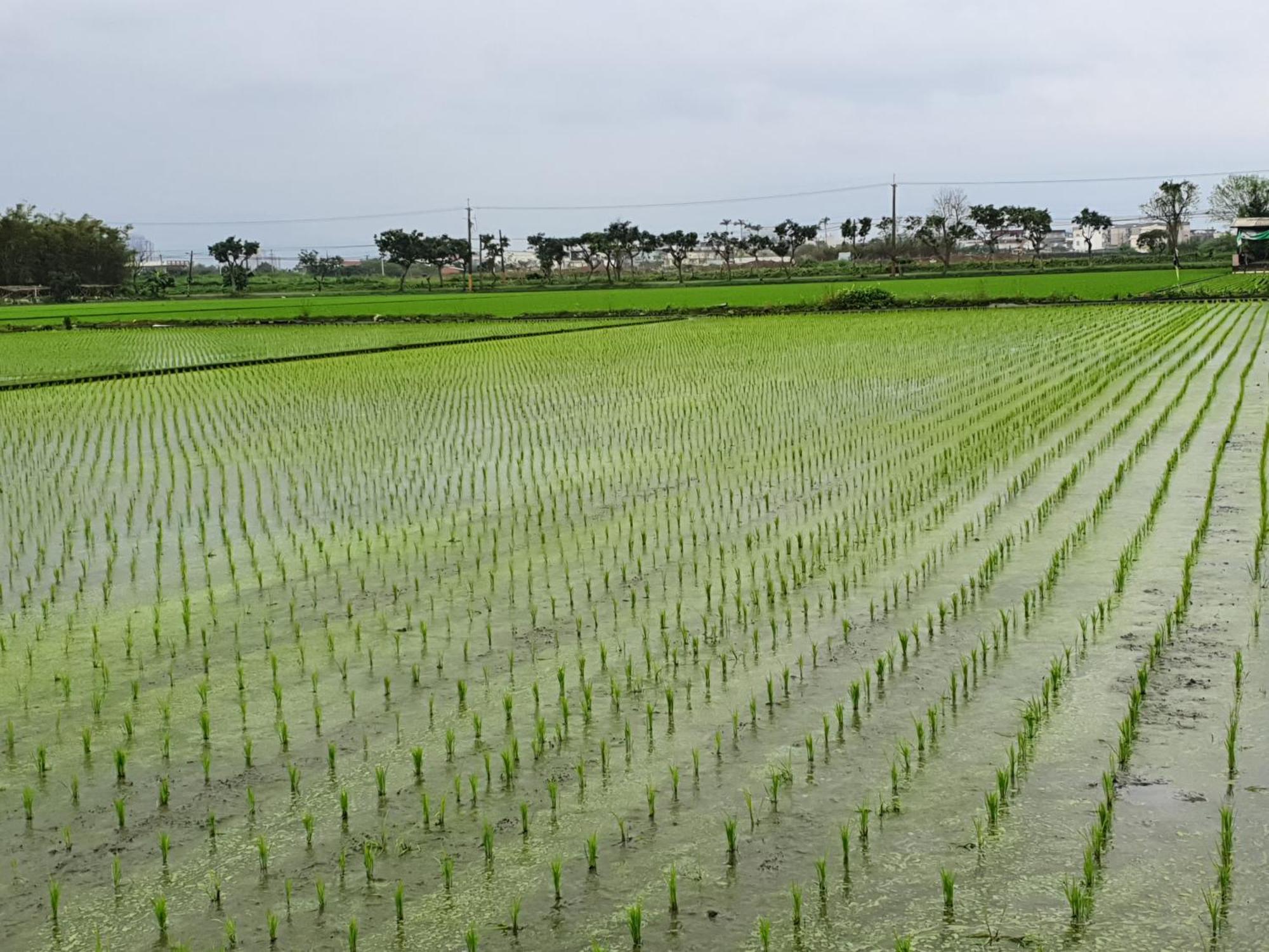 Yilan Xiang Feng Homestay อู่เจี๋ย ภายนอก รูปภาพ